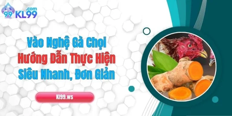 Vào Nghệ Gà Chọi: Hướng Dẫn Thực Hiện Siêu Nhanh, Đơn Giản 1 Vào Nghệ Gà Chọi: Hướng Dẫn Thực Hiện Siêu Nhanh, Đơn Giản